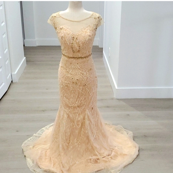 NWT Peach Nude Gown - Picture 1 of 14